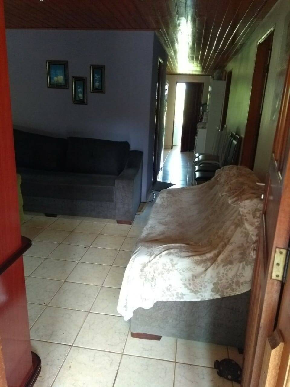 Sítio, 4 quartos, 2 hectares - Foto 4