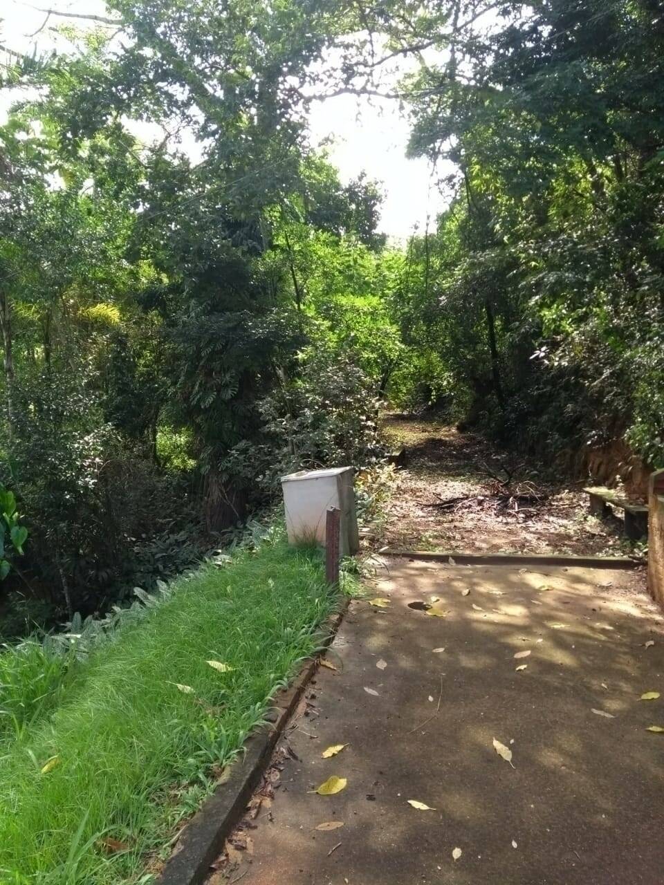 Sítio, 4 quartos, 2 hectares - Foto 12