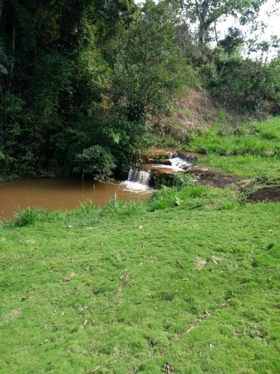 Sítio, 4 quartos, 2 hectares - Foto 8
