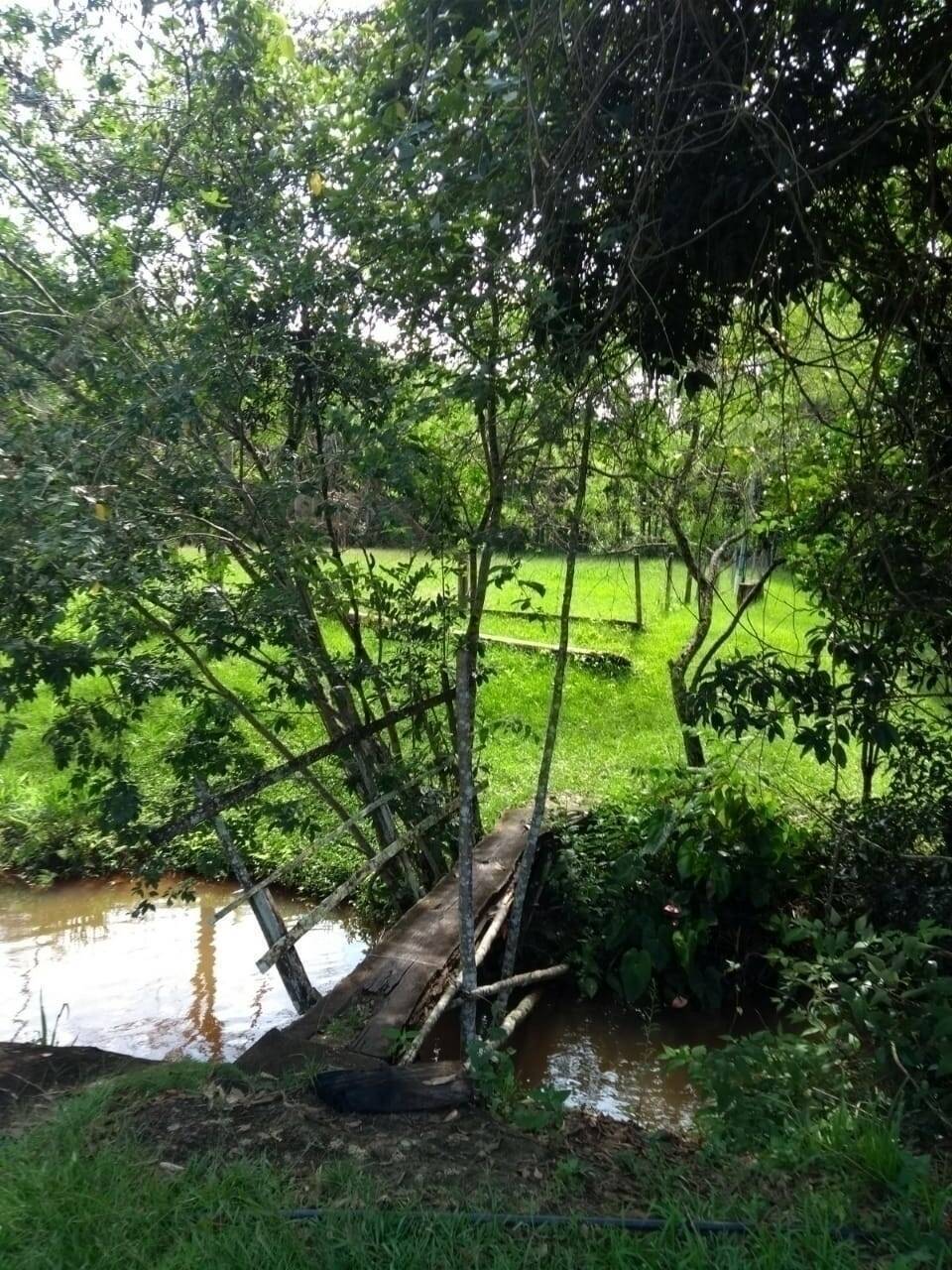 Sítio, 4 quartos, 2 hectares - Foto 7