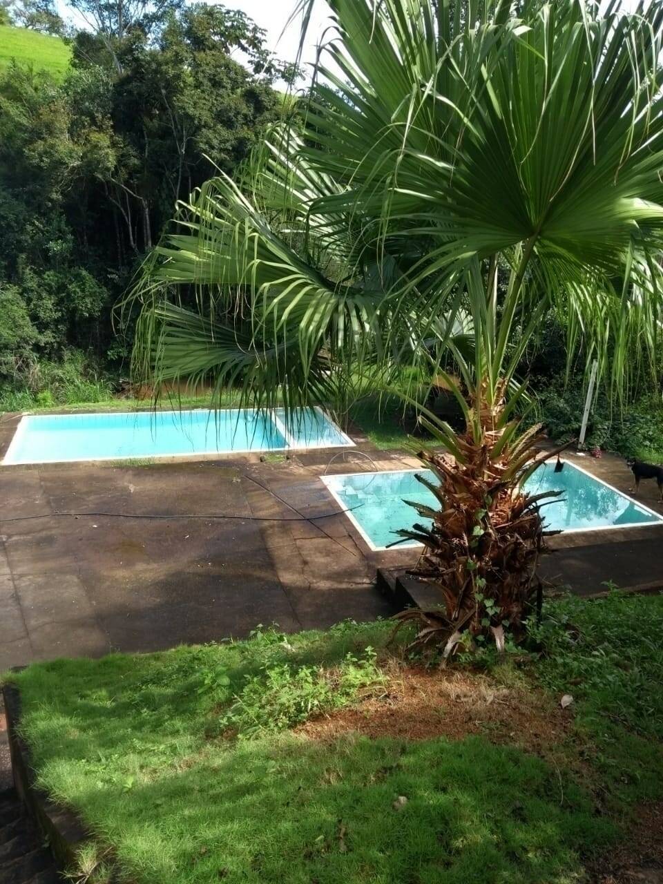 Sítio, 4 quartos, 2 hectares - Foto 9
