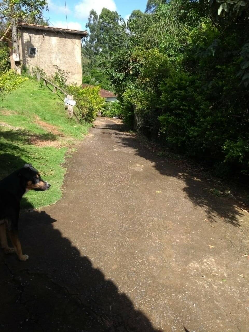 Sítio, 4 quartos, 2 hectares - Foto 3