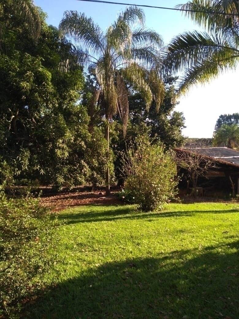 Sítio, 6 quartos, 10000 m² - Foto 4