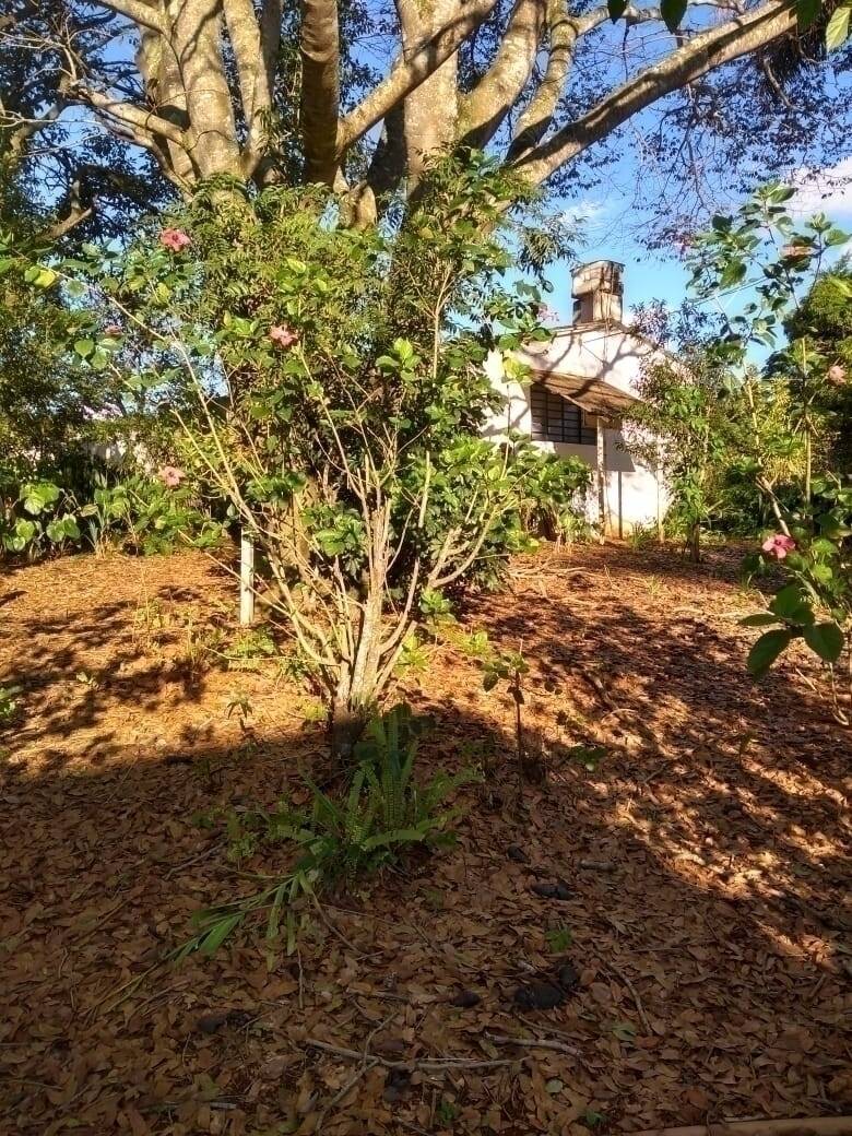 Sítio, 6 quartos, 10000 m² - Foto 29