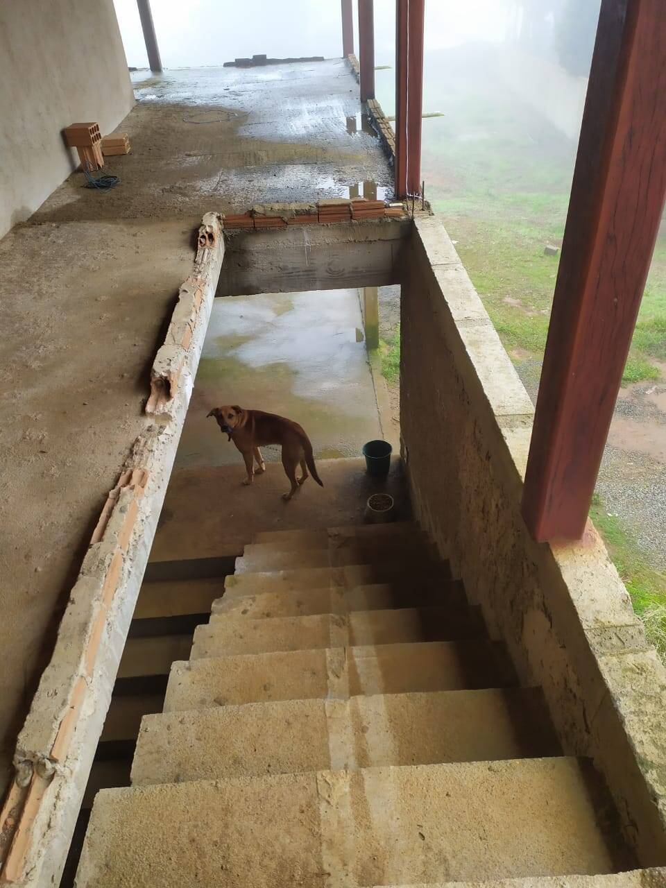 Casa, 5 quartos, 400 m² - Foto 8