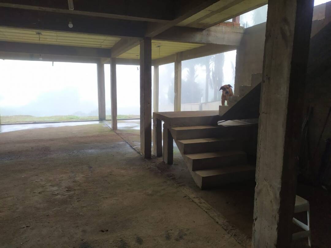Casa, 5 quartos, 400 m² - Foto 3