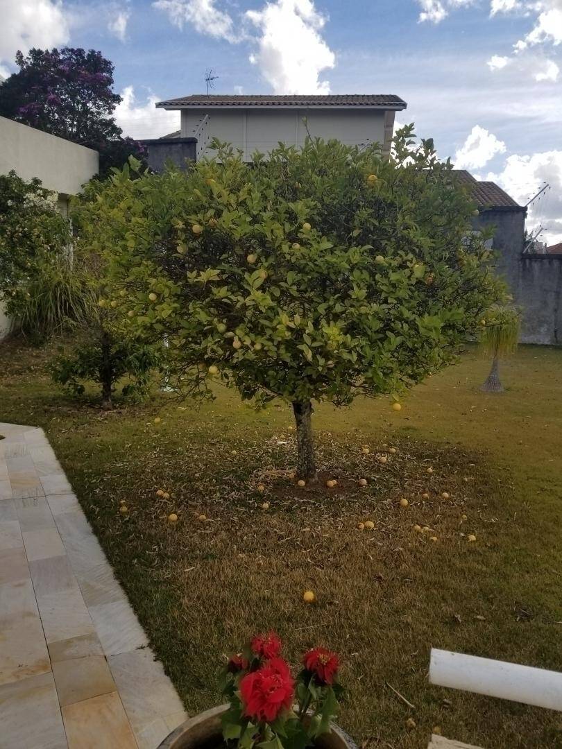 Casa, 4 quartos, 700 m² - Foto 6