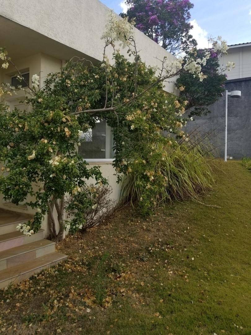Casa, 4 quartos, 700 m² - Foto 12
