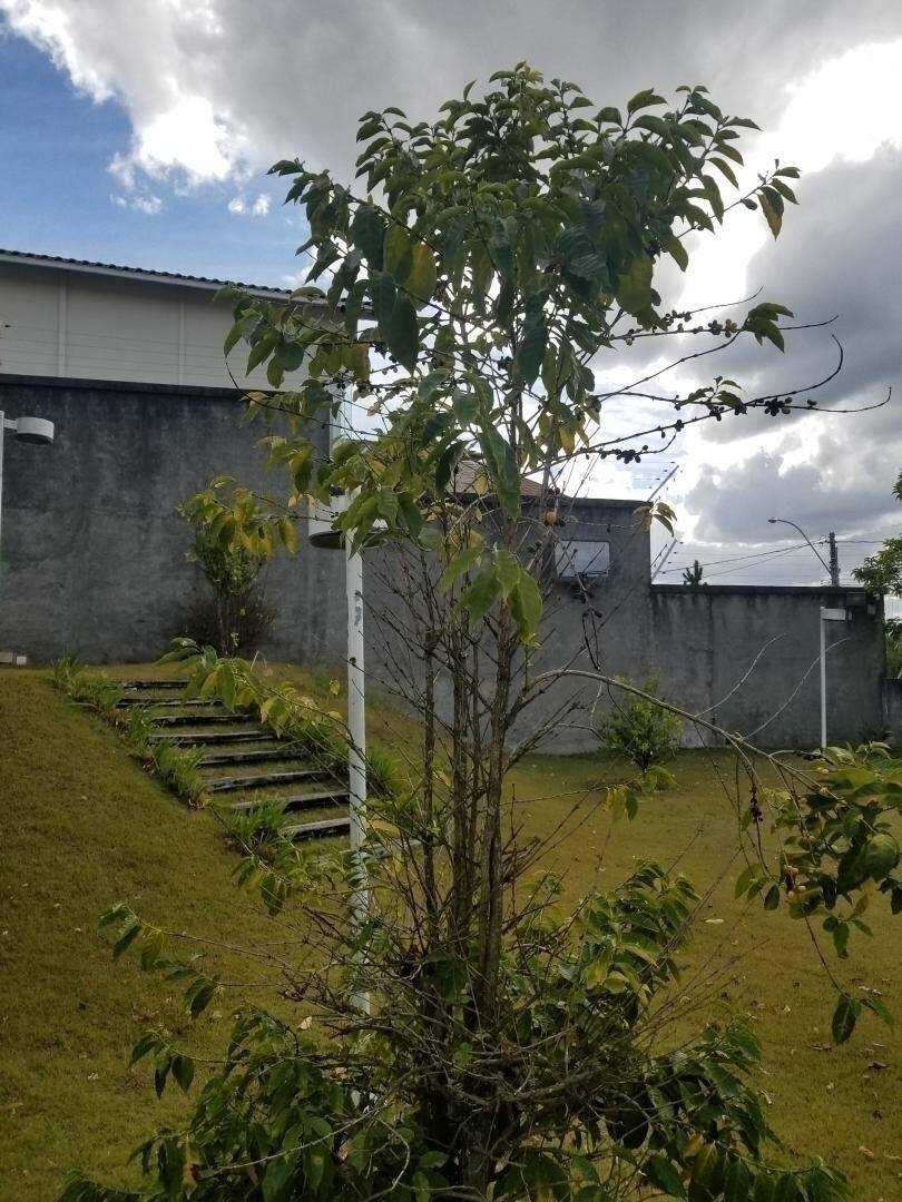 Casa, 4 quartos, 700 m² - Foto 3