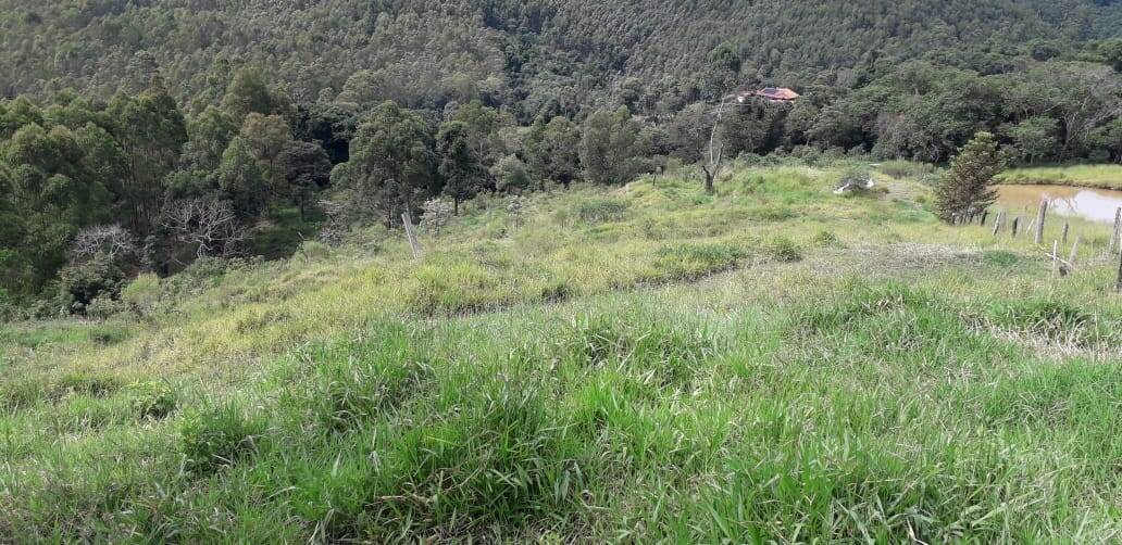 Sítio, 3 quartos, 2 hectares - Foto 22