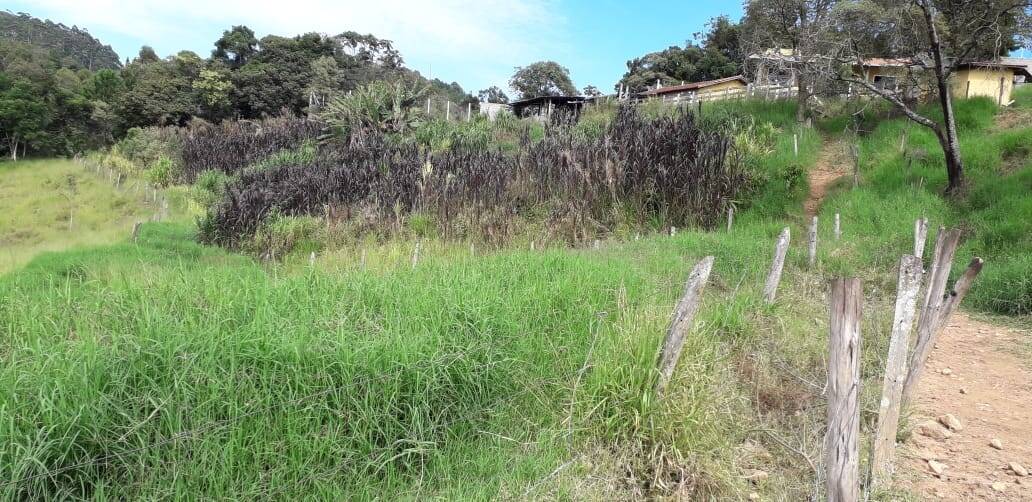 Sítio, 3 quartos, 2 hectares - Foto 17