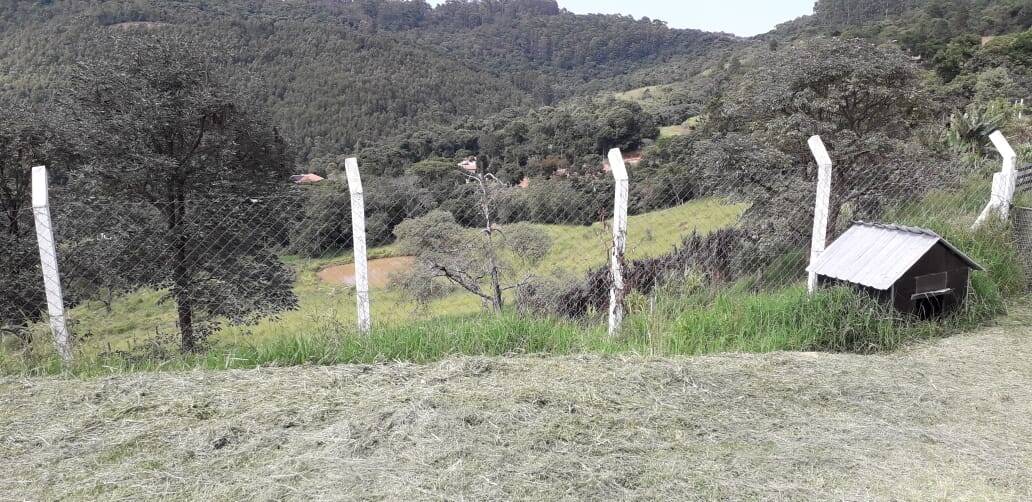 Sítio, 3 quartos, 2 hectares - Foto 19