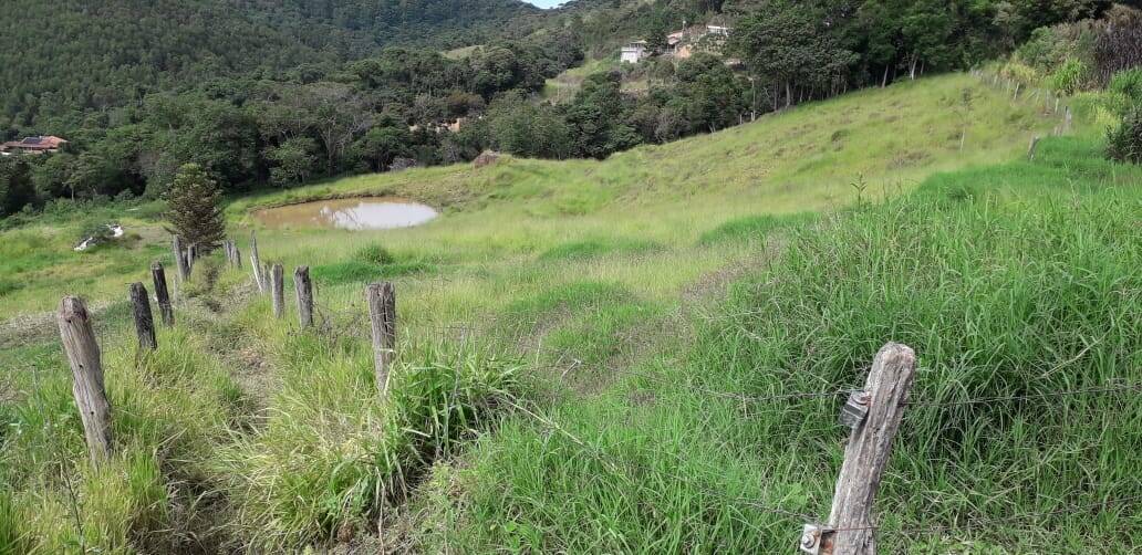 Sítio, 3 quartos, 2 hectares - Foto 18
