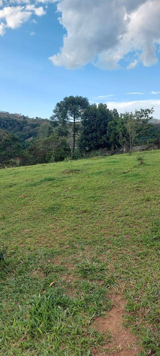 Terreno, 1500 m² - Foto 9