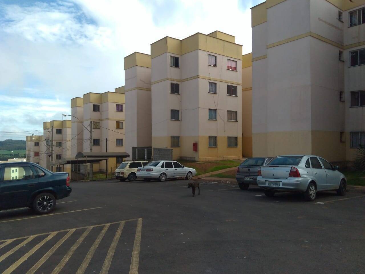 #365 - Apartamento para Venda em Poços de Caldas - MG