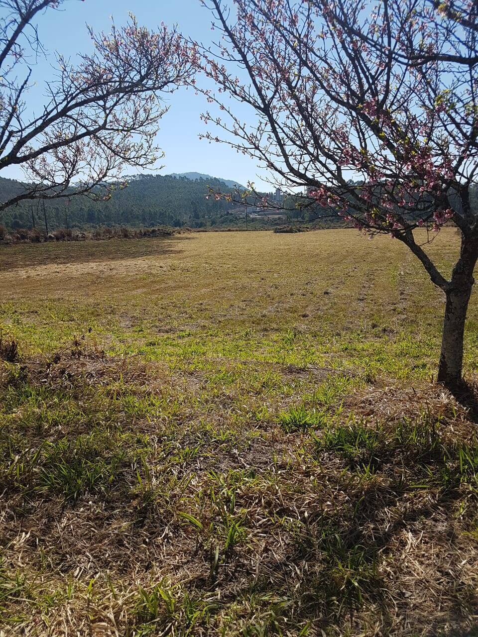 Terreno, 1 hectares - Foto 3