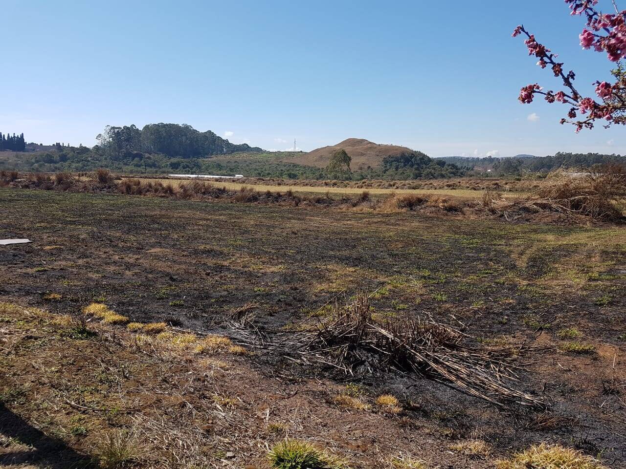 Terreno, 1 hectares - Foto 14