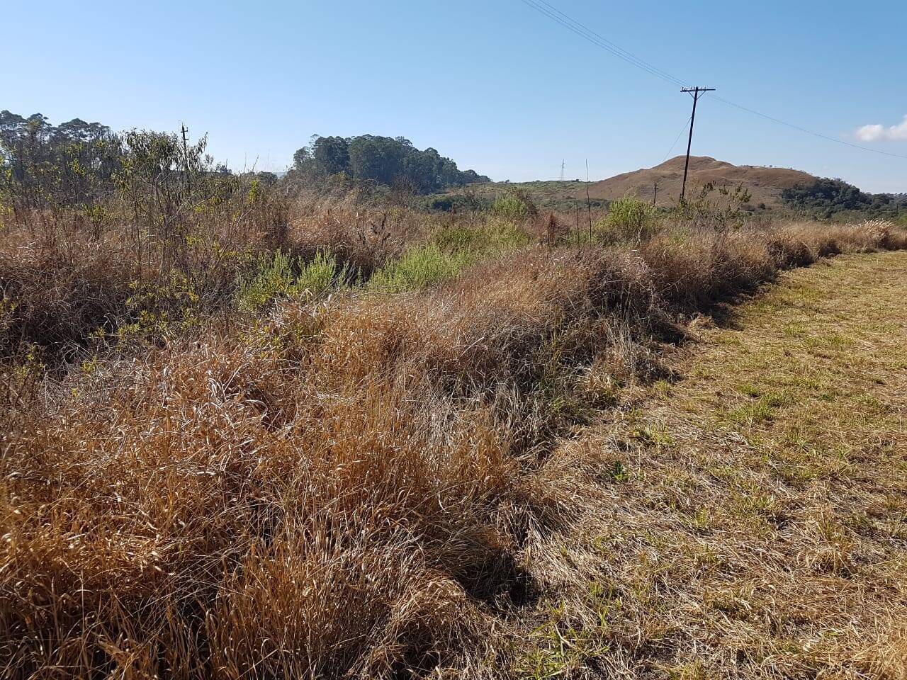 Terreno, 1 hectares - Foto 4
