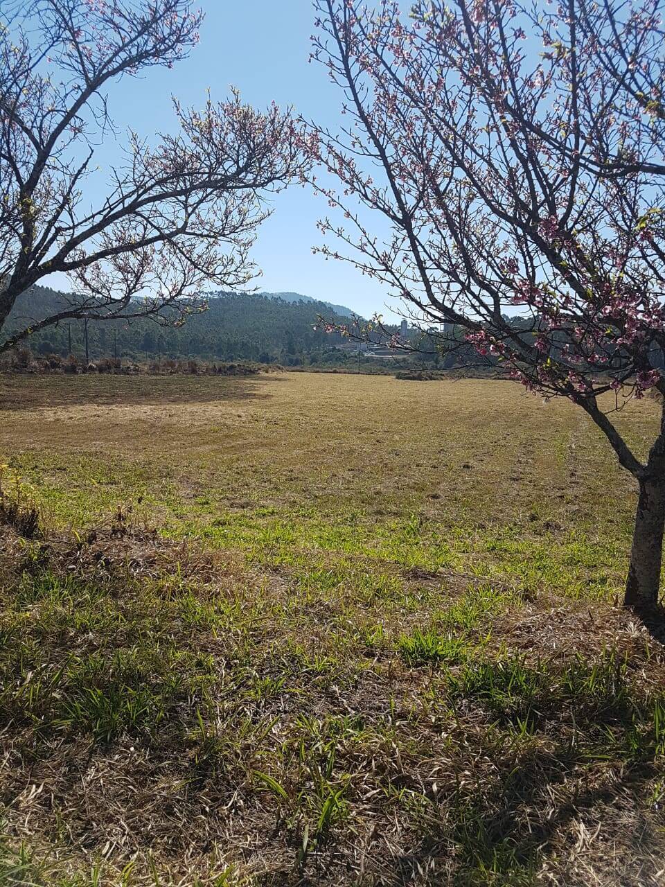 Terreno, 1 hectares - Foto 11