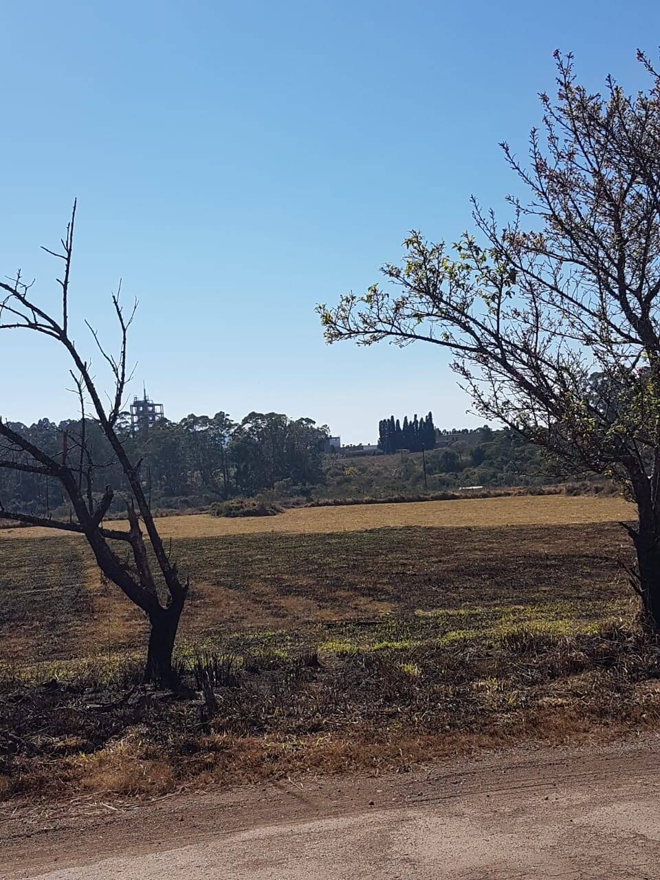 Terreno, 1 hectares - Foto 12