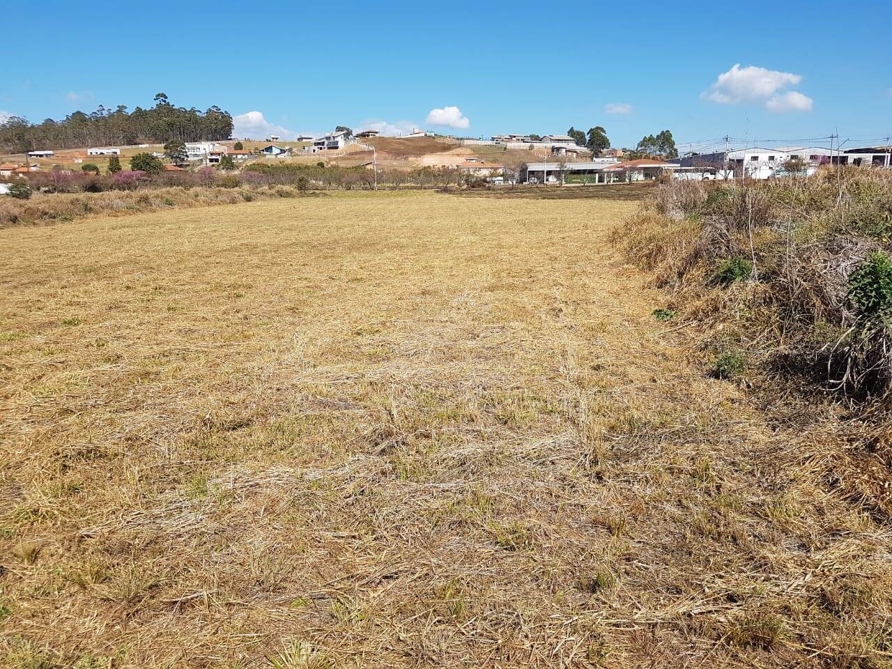 Terreno, 1 hectares - Foto 2