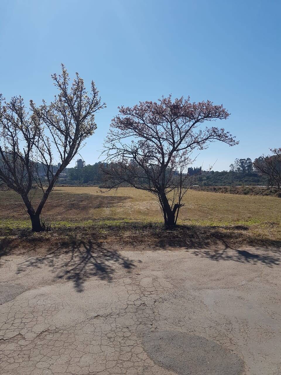 Terreno, 1 hectares - Foto 13