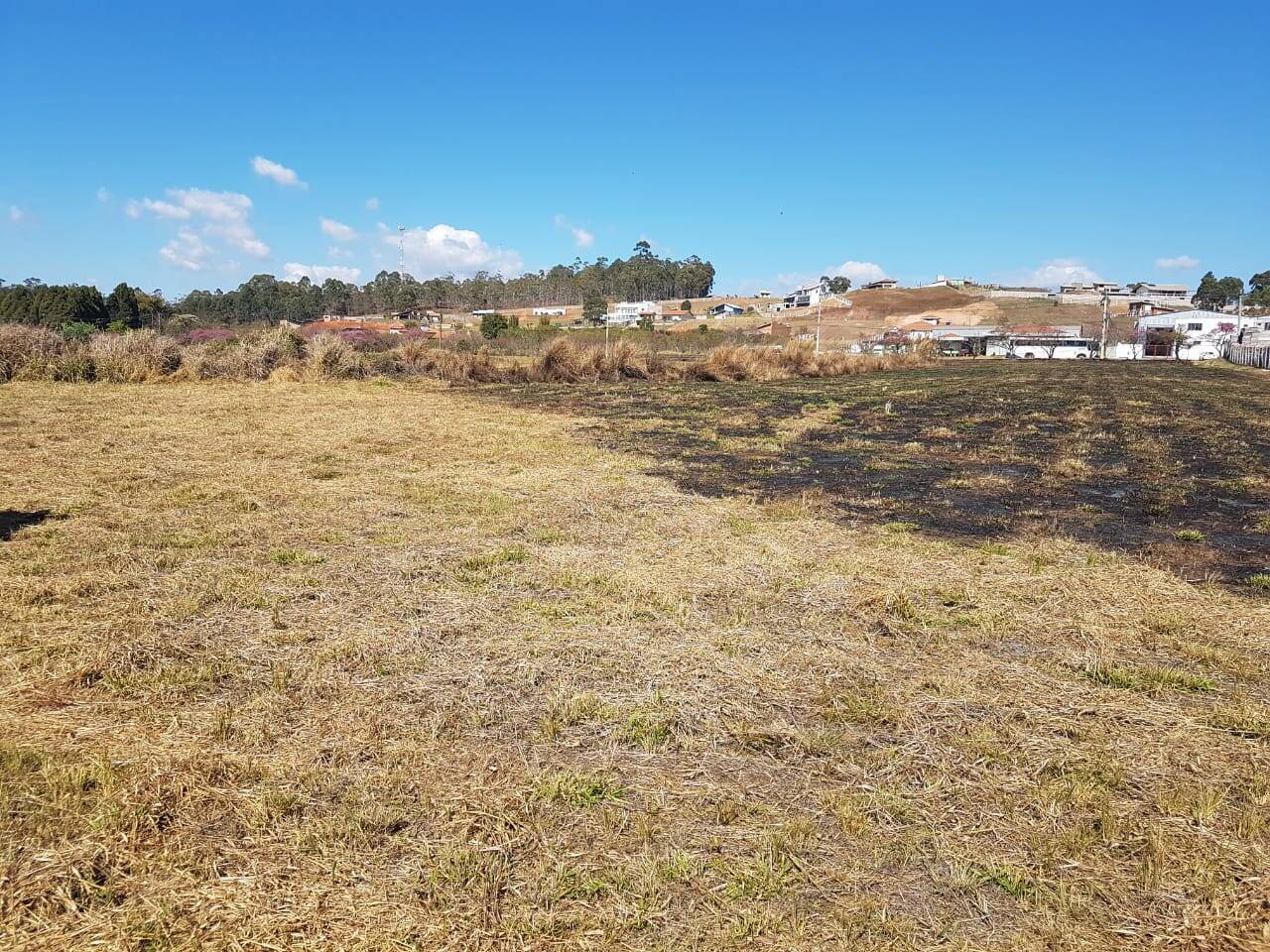 Terreno, 1 hectares - Foto 8