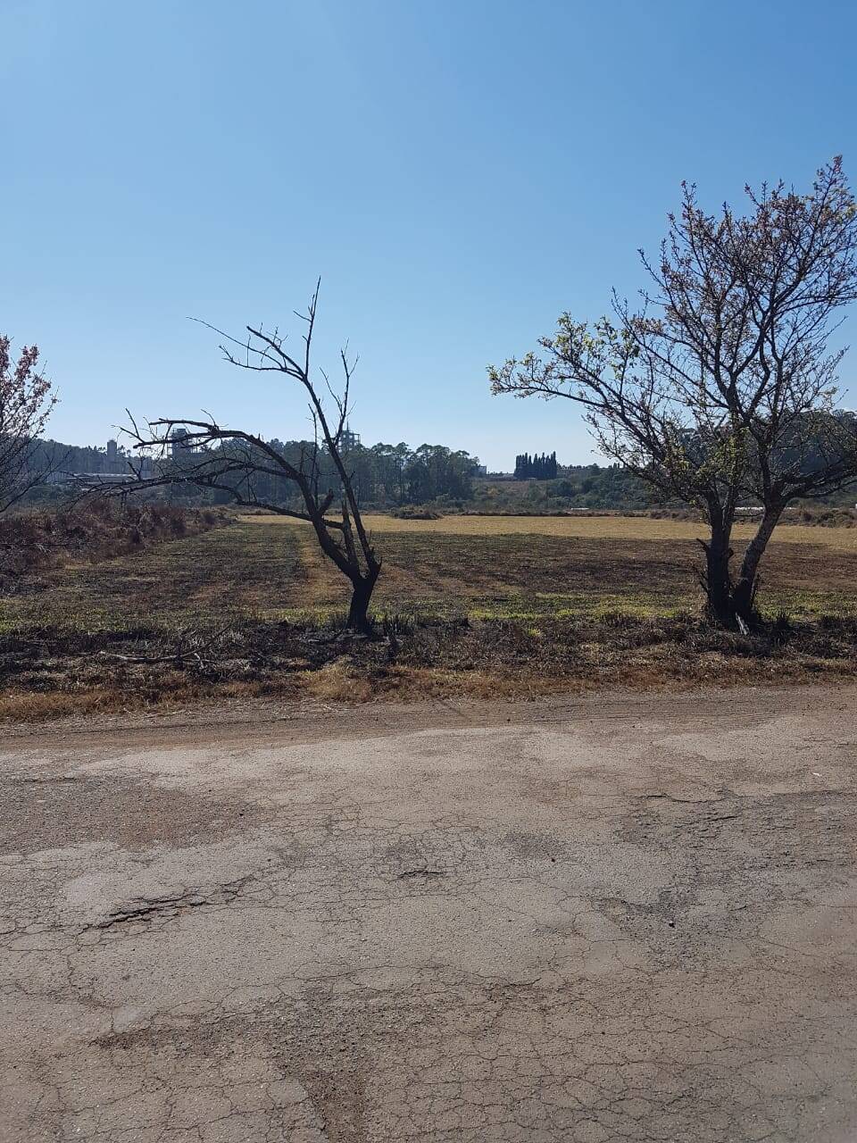 Terreno, 1 hectares - Foto 9