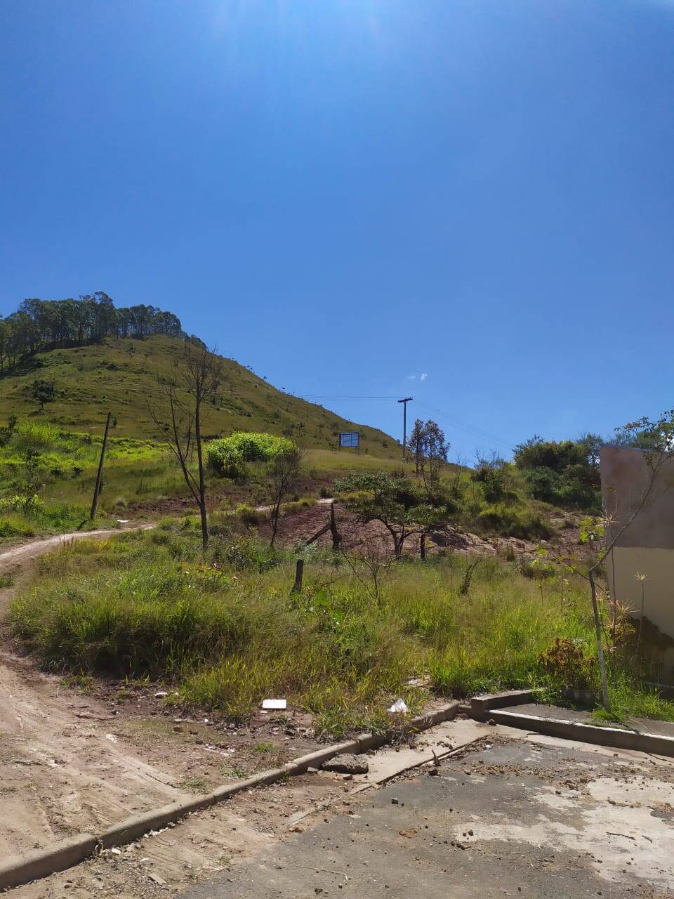 Terreno, 3 hectares - Foto 3