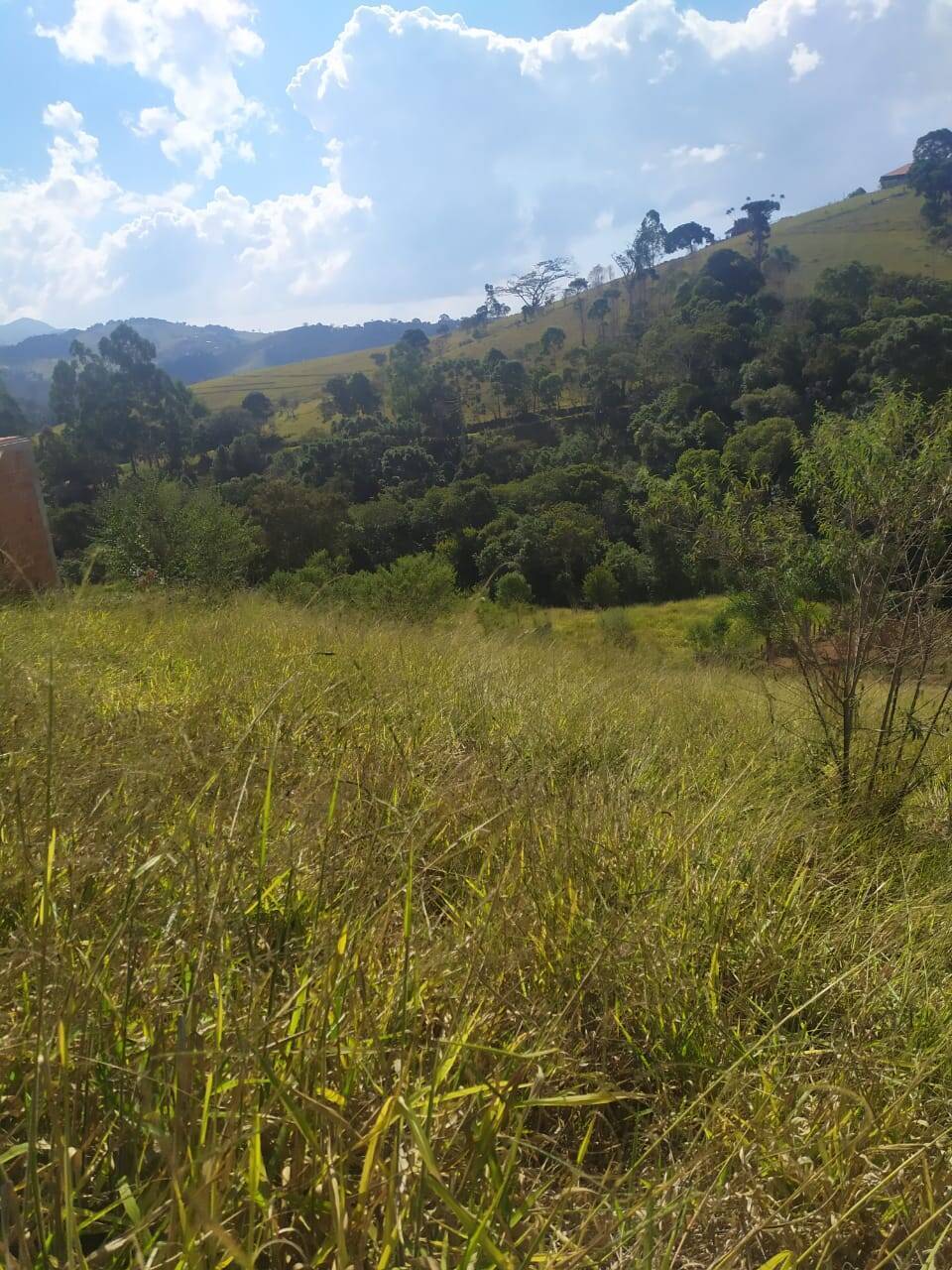 Terreno, 1000 m² - Foto 5