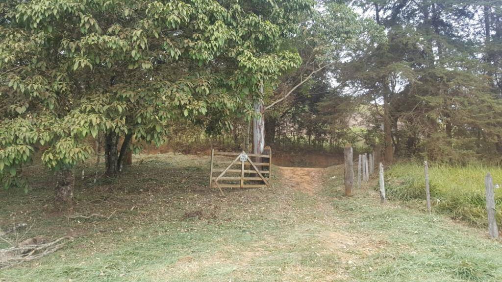 #414 - Sítio para Venda em Campestre - MG