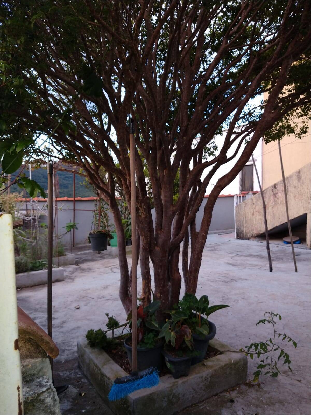 Casa, 4 quartos - Foto 14