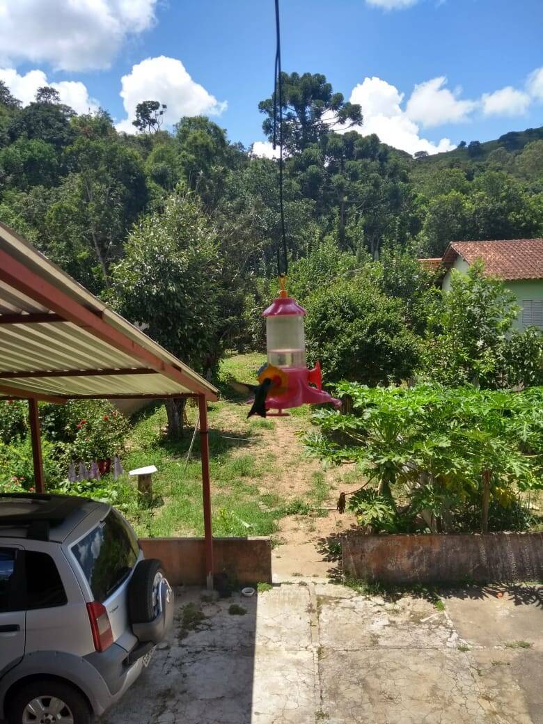 Chácara, 2 quartos, 800 m² - Foto 2