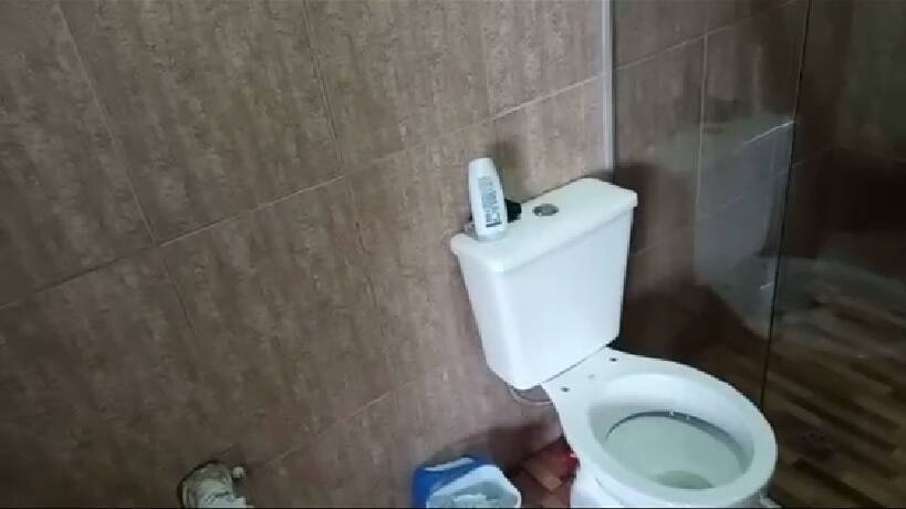 Sítio, 2 quartos, 5360 m² - Foto 7