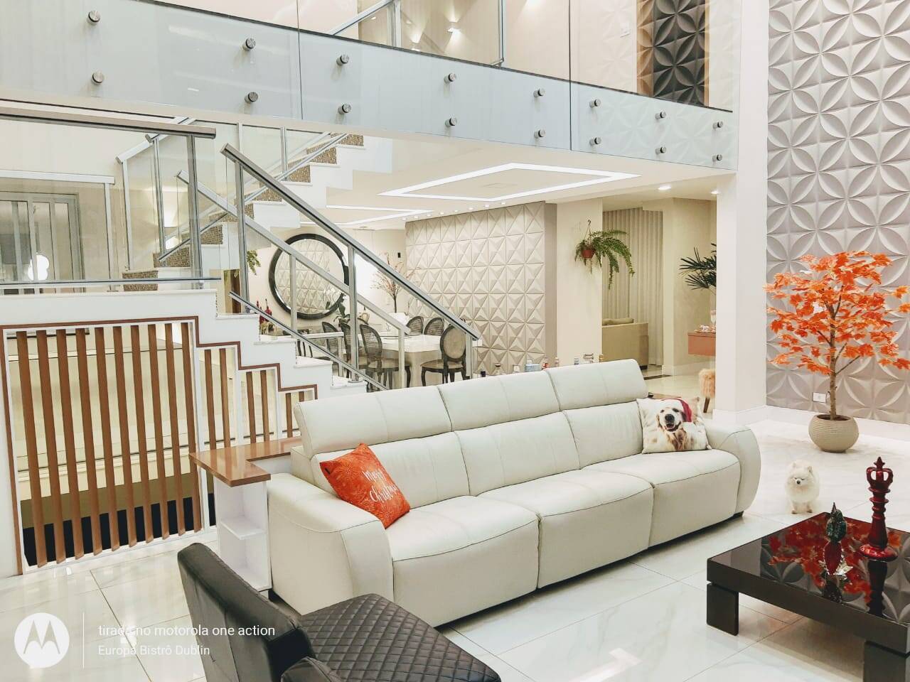 Casa, 4 quartos, 496 m² - Foto 35