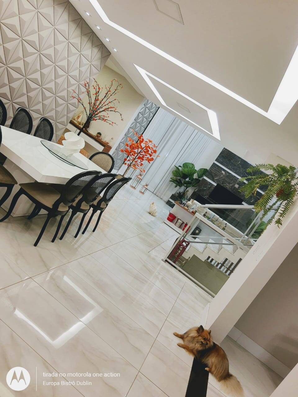 Casa, 4 quartos, 496 m² - Foto 17