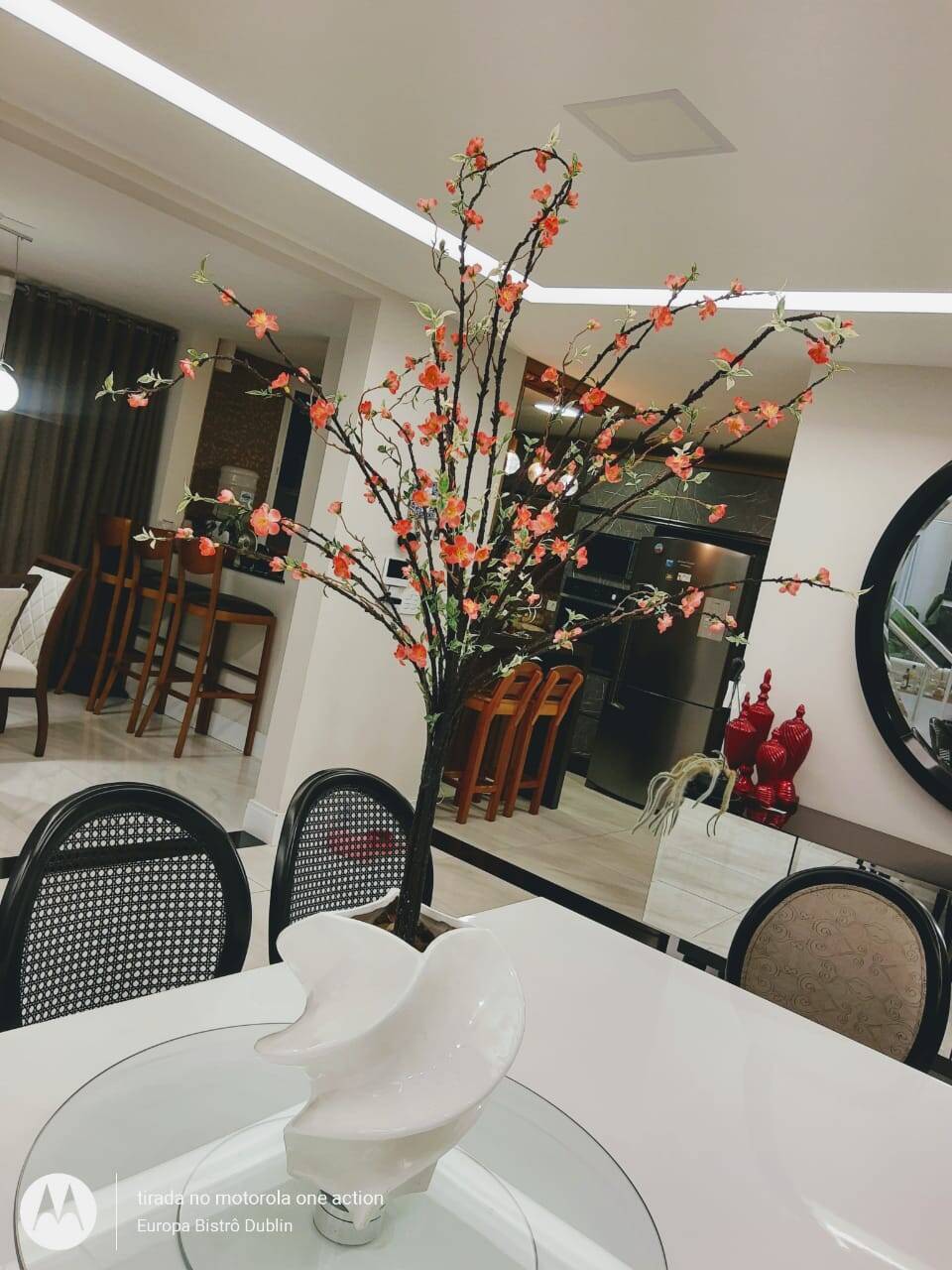 Casa, 4 quartos, 496 m² - Foto 16