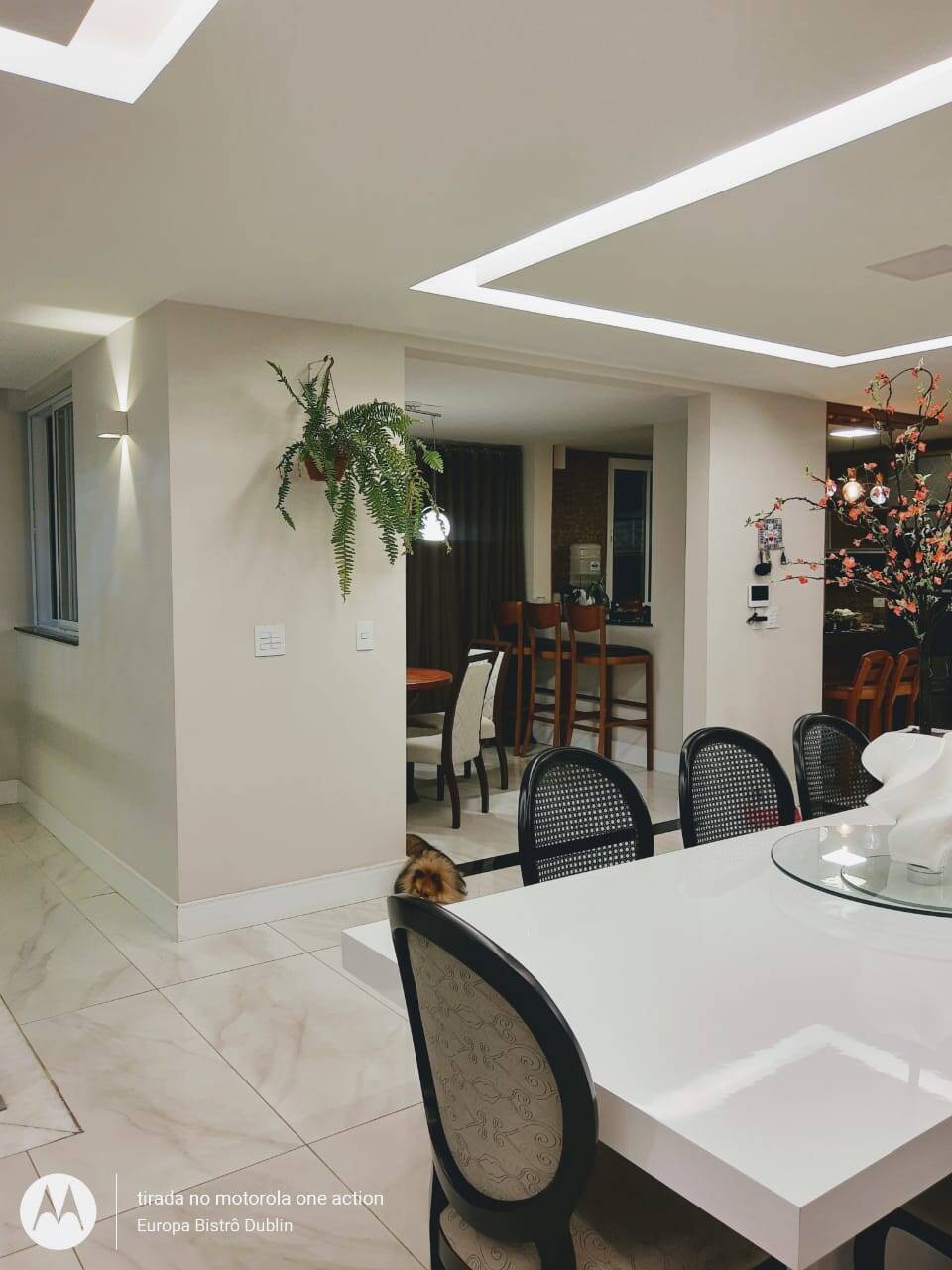 Casa, 4 quartos, 496 m² - Foto 20