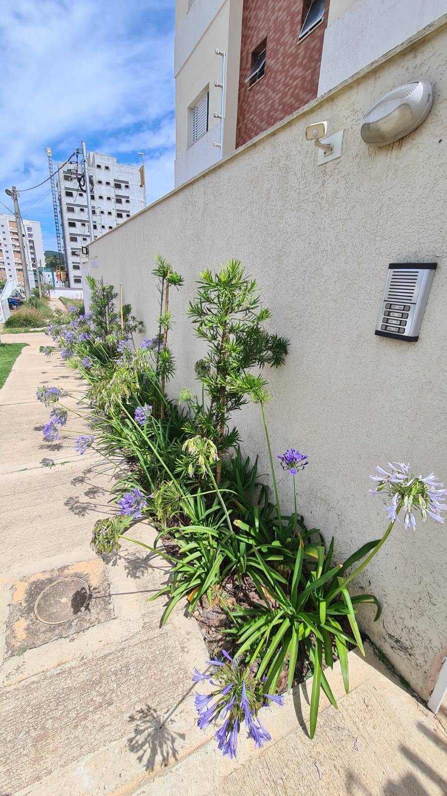 Apartamento, 3 quartos, 90 m² - Foto 36