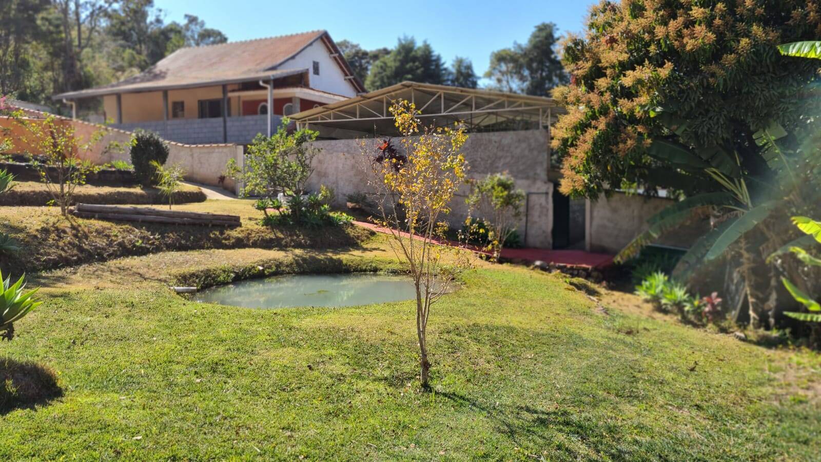 Sítio, 3 quartos, 2500 m² - Foto 2