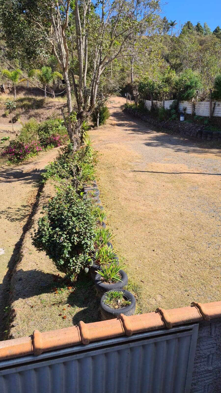 Sítio, 3 quartos, 2500 m² - Foto 7