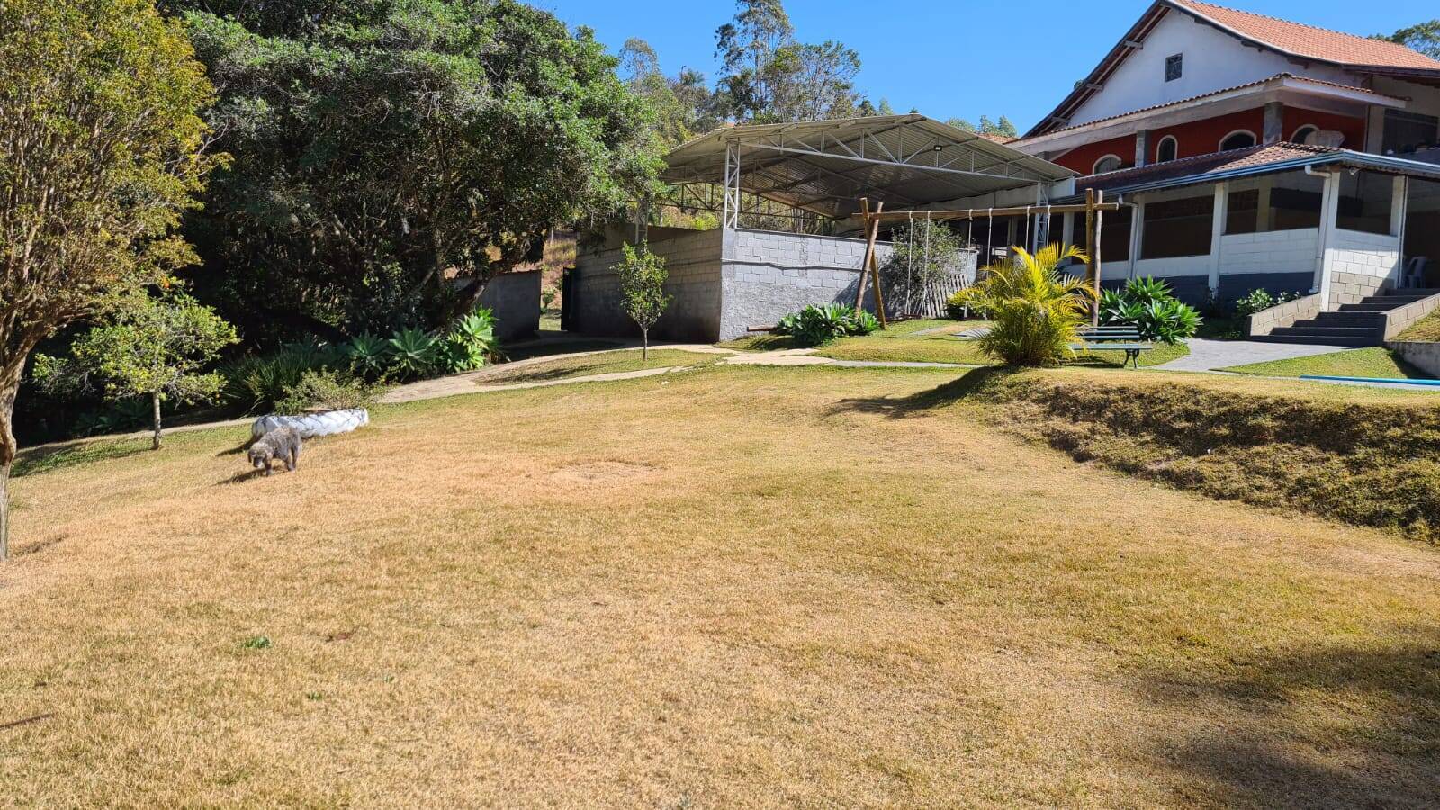 Sítio, 3 quartos, 2500 m² - Foto 3