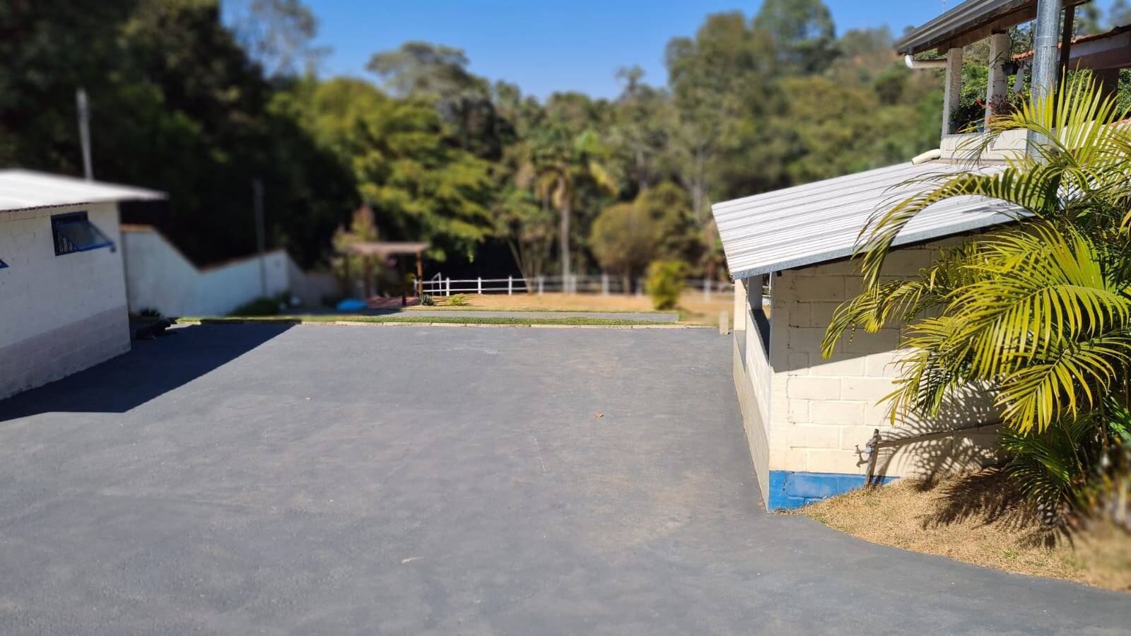 Sítio, 3 quartos, 2500 m² - Foto 6