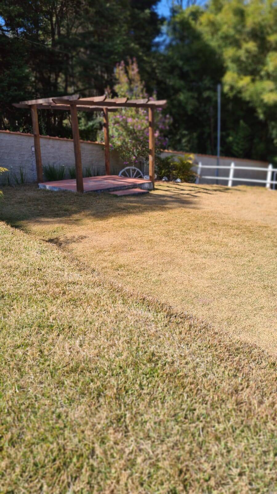 Sítio, 3 quartos, 2500 m² - Foto 19