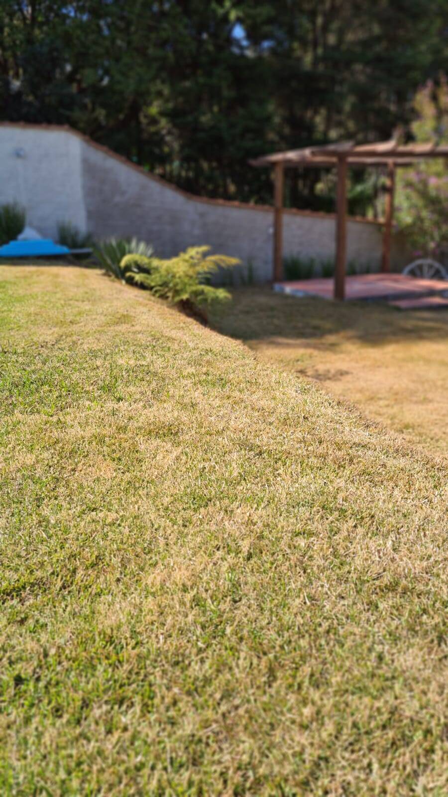 Sítio, 3 quartos, 2500 m² - Foto 26