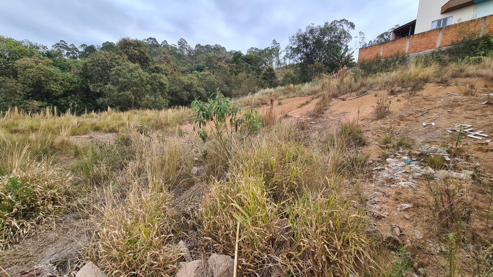 Terreno, 620 m² - Foto 3