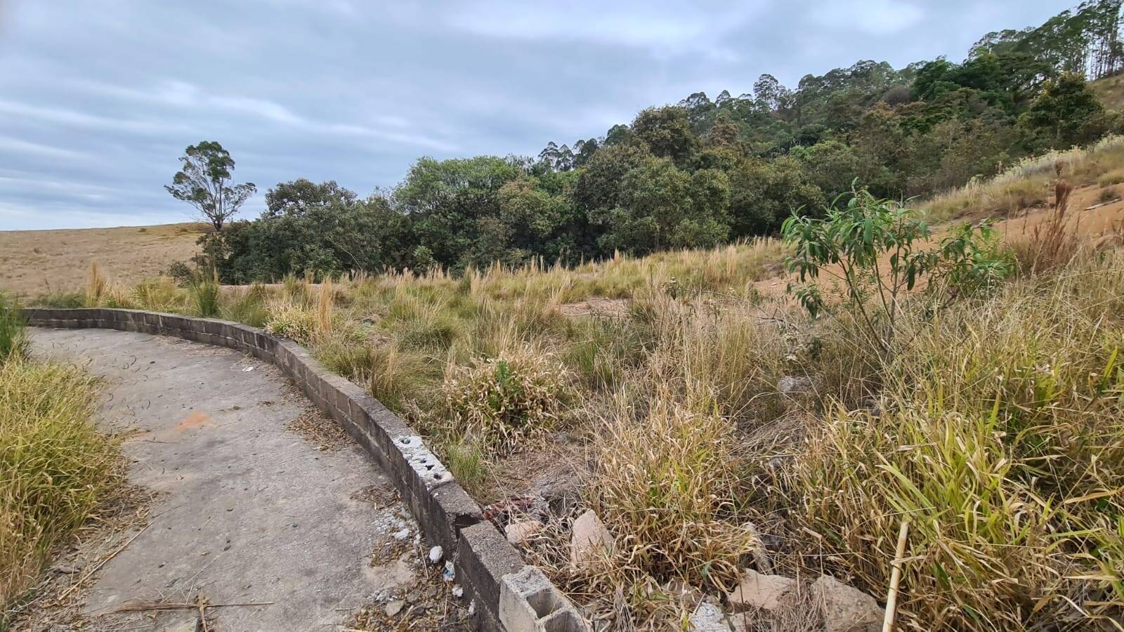 Terreno, 620 m² - Foto 4