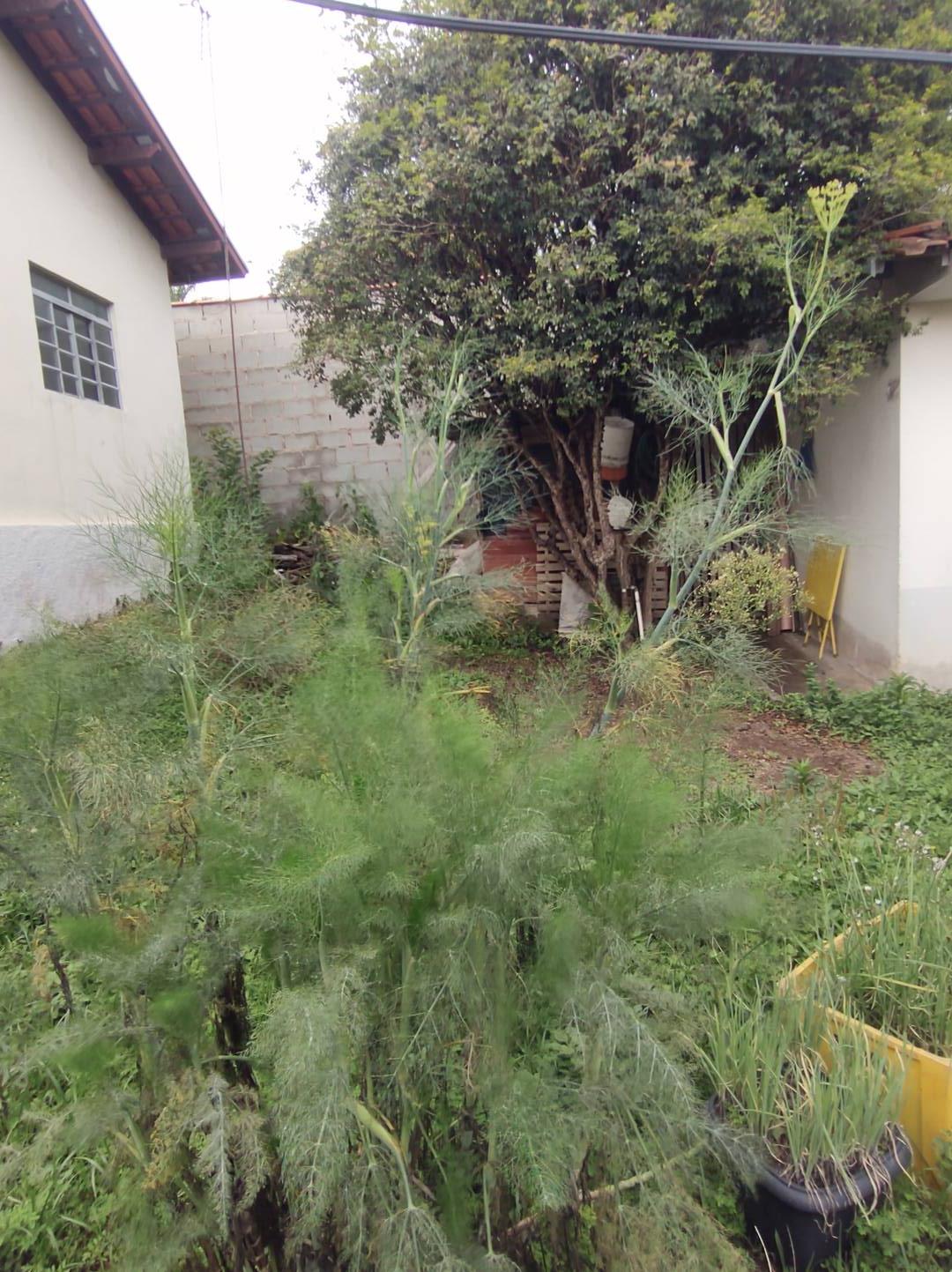 Casa, 2 quartos, 130 m² - Foto 19