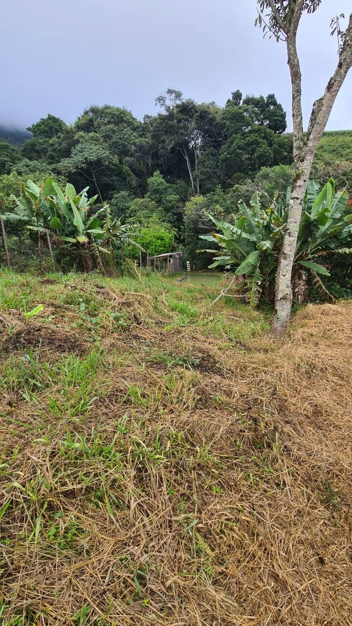 Terreno, 1000 m² - Foto 1