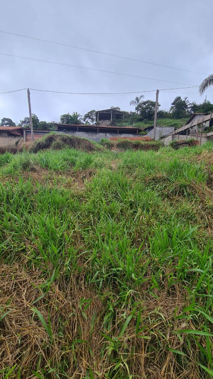 Terreno, 1000 m² - Foto 2